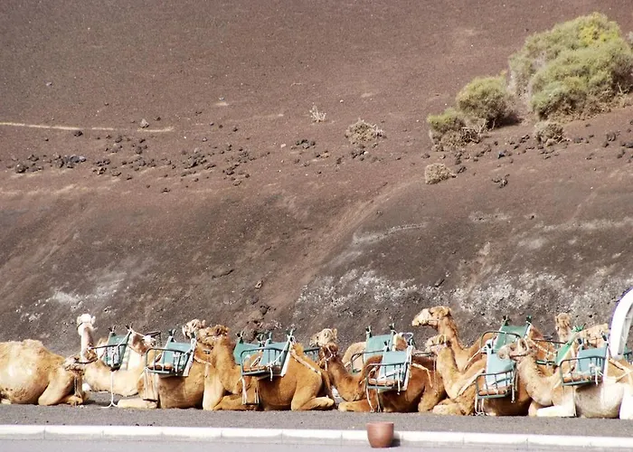 Hotel Sandos Papagayo Playa Blanca (Lanzarote)